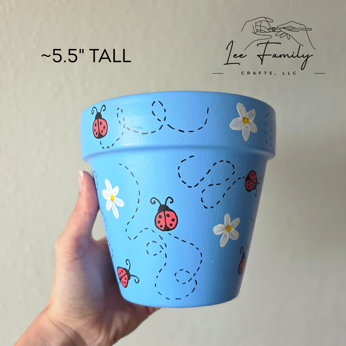 Hand Painted Terracotta Planter Pot: Lady Bugs and Daisy's