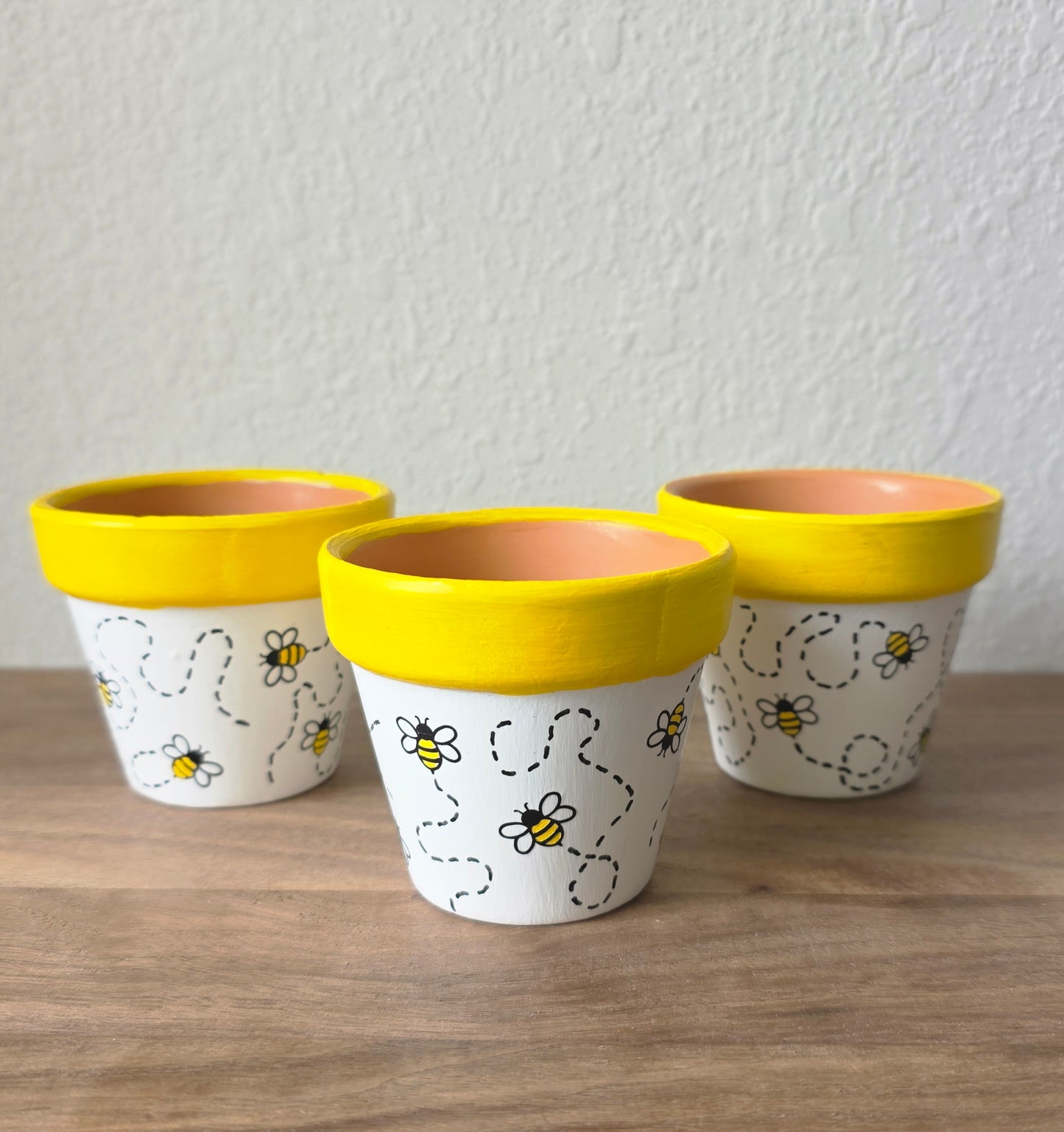 Mixed Media Terracotta Planter Pot: Honey Bee Design