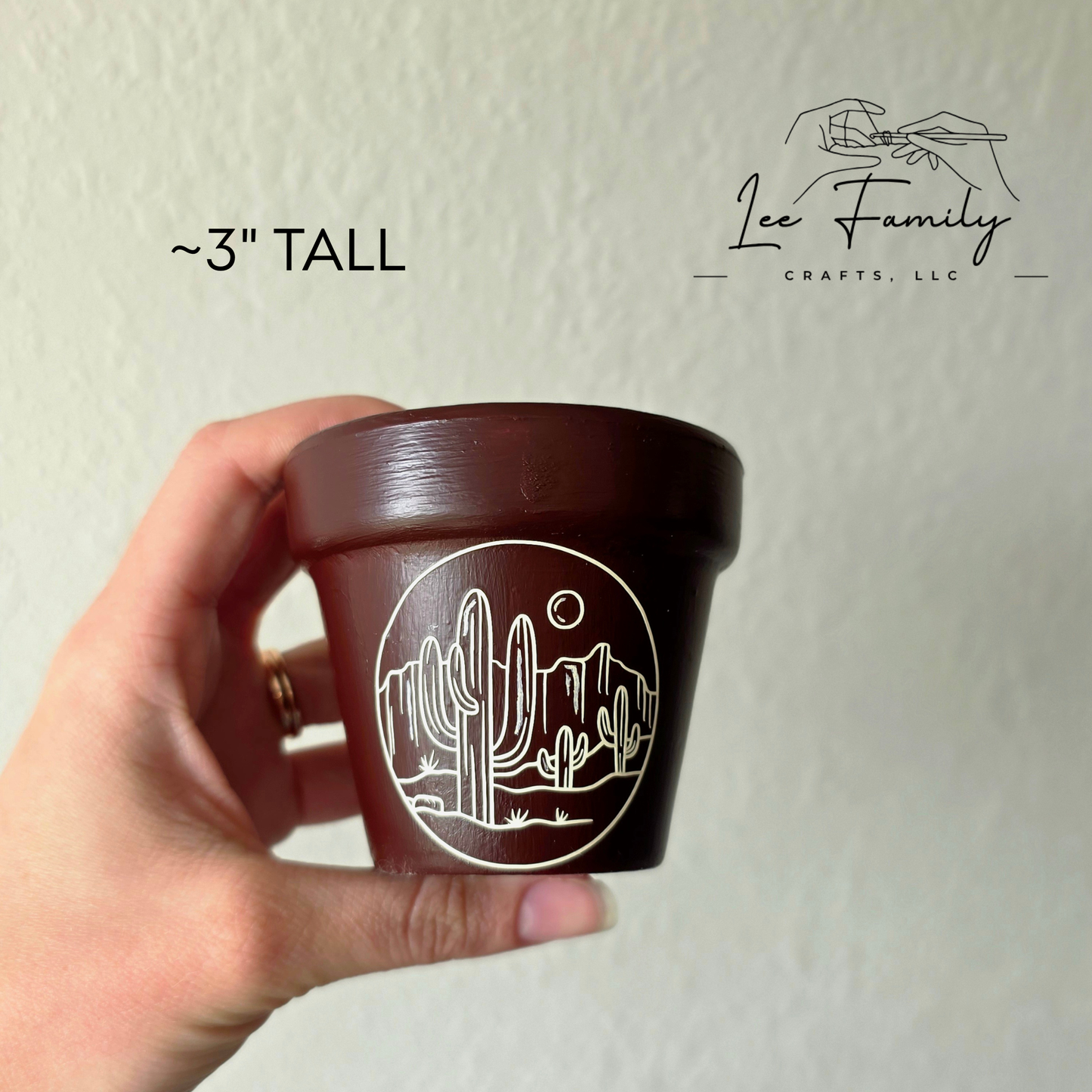 Mixed Media Terracotta Planter Pot: Western - Cactus Design
