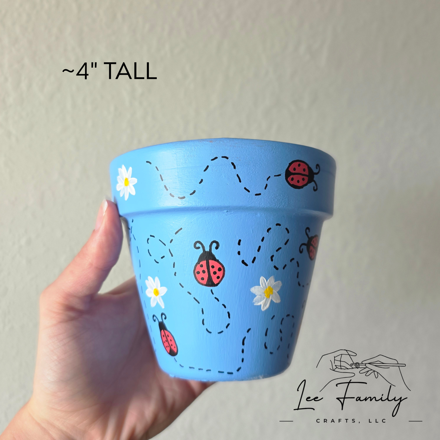 Hand Painted Terracotta Planter Pot: Lady Bugs and Daisy's