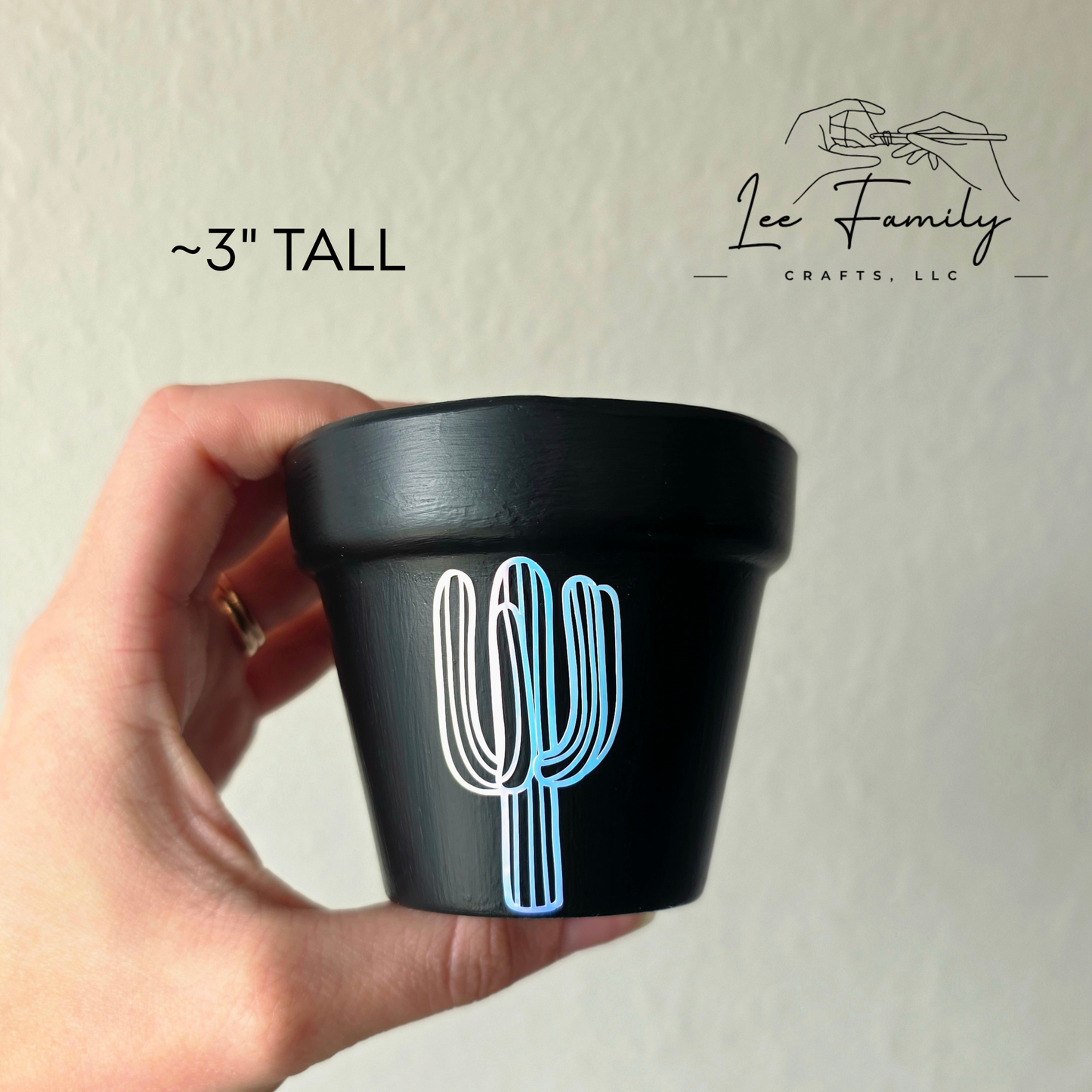 Mixed Media Terracotta Planter Pot: Western - Cactus Design