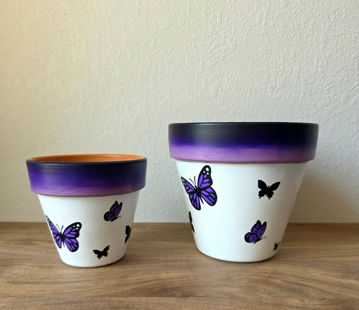 Mixed Media Terracotta Planter Pot: Butterflies